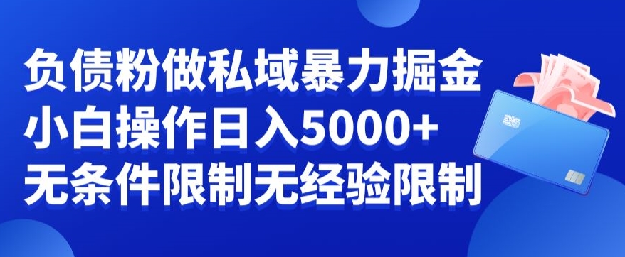 负债粉私域暴力掘金，小白操作入5000，无经验限制，无条件限制-满月文化项目库