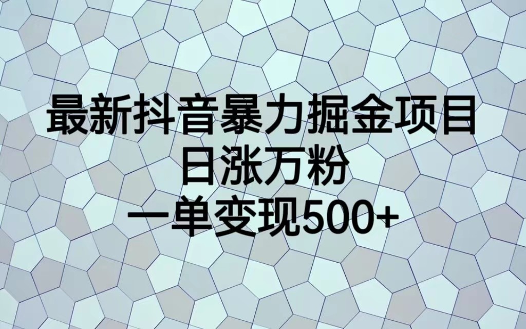 最新抖音暴力掘金项目，日涨万粉，一单变现500+-满月文化项目库