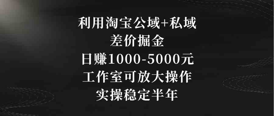 利用淘宝公域+私域差价掘金，日赚1000-5000元，工作室可放大操作，实操…-满月文化项目库