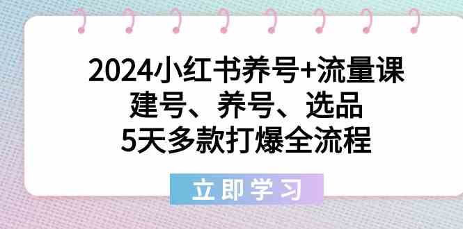 2024小红书养号+流量课：建号、养号、选品，5天多款打爆全流程-满月文化项目库