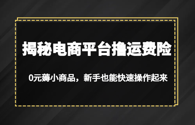 揭秘电商平台撸运费险，0元薅小商品，新手也能快速操作起来-满月文化项目库