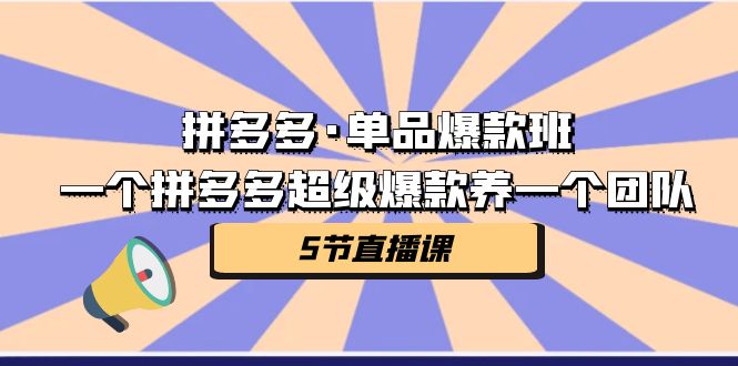 拼多多·单品爆款班，一个拼多多超级爆款养一个团队（5节直播课）-满月文化项目库