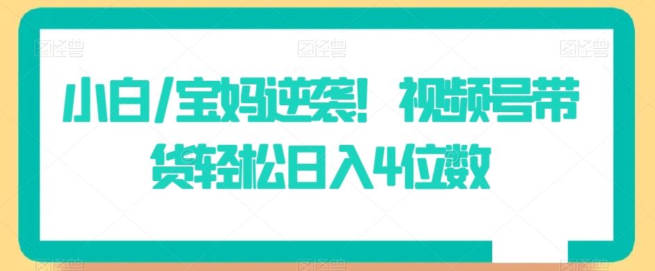 小白/宝妈逆袭！视频号带货轻松日入4位数【揭秘】-满月文化项目库