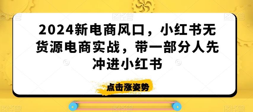 2024新电商风口，小红书无货源电商实战，带一部分人先冲进小红书-满月文化项目库