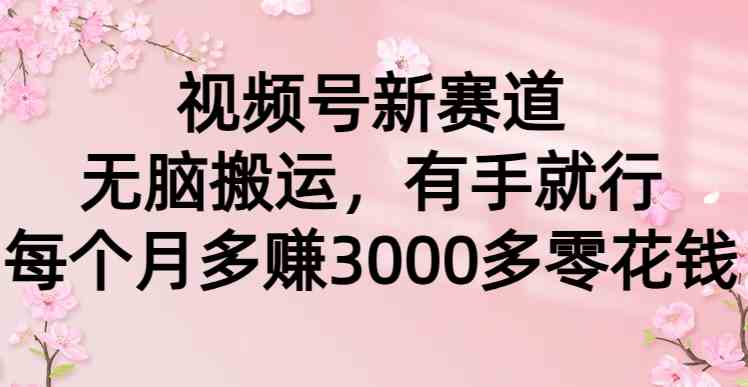 视频号新赛道，无脑搬运，有手就行，每个月多赚3000多零花钱-满月文化项目库