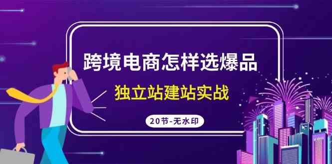 跨境电商怎样选爆品，独立站建站实战（20节高清无水印课）-满月文化项目库