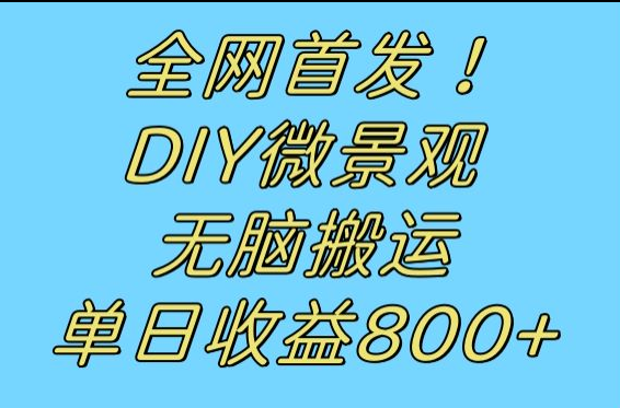 全网首发冷门赛道！DIY微景观，无脑搬运视频，日收益800+-满月文化项目库