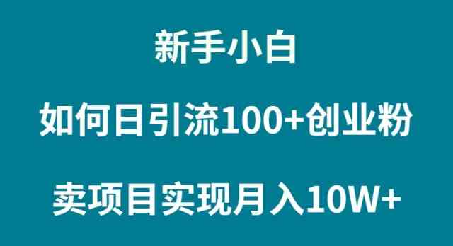 新手小白如何通过卖项目实现月入10W+-满月文化项目库