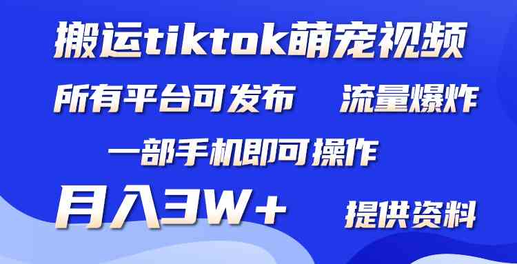 搬运Tiktok萌宠类视频，一部手机即可。所有短视频平台均可操作，月入3W+-满月文化项目库