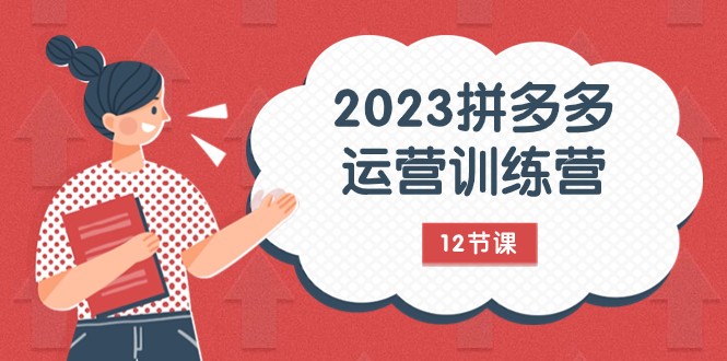 2023拼多多运营训练营：流量底层逻辑，免费+付费流量玩法（12节课）-满月文化项目库