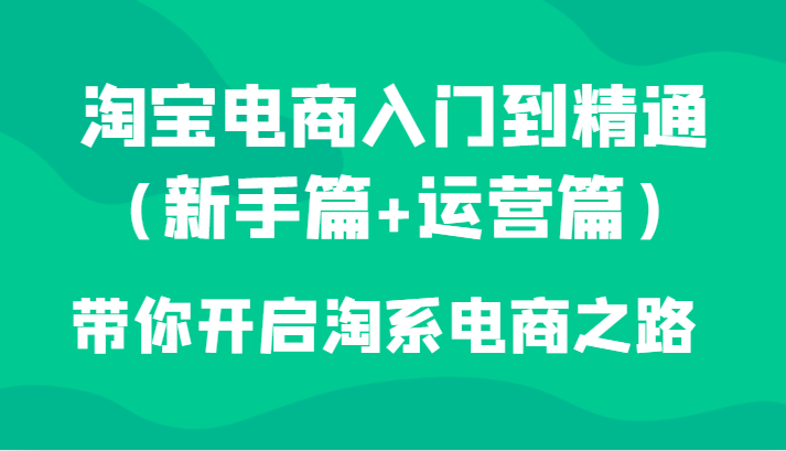 淘宝电商入门到精通（新手篇+运营篇）带你开启淘系电商之路-满月文化项目库