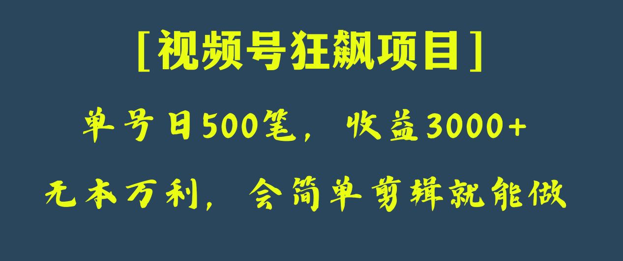 日收款500笔，纯利润3000+，视频号狂飙项目！-满月文化项目库