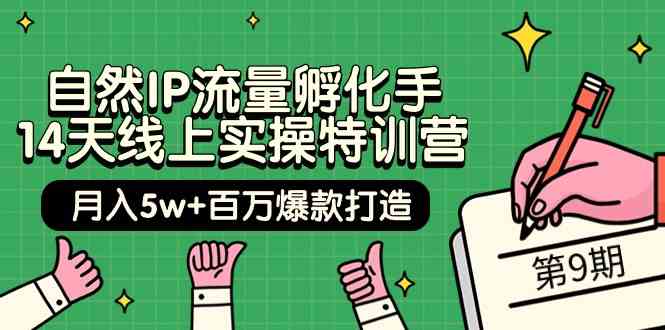 自然IP流量孵化手 14天线上实操特训营【第9期】月入5w+百万爆款打造 (74节)-满月文化项目库