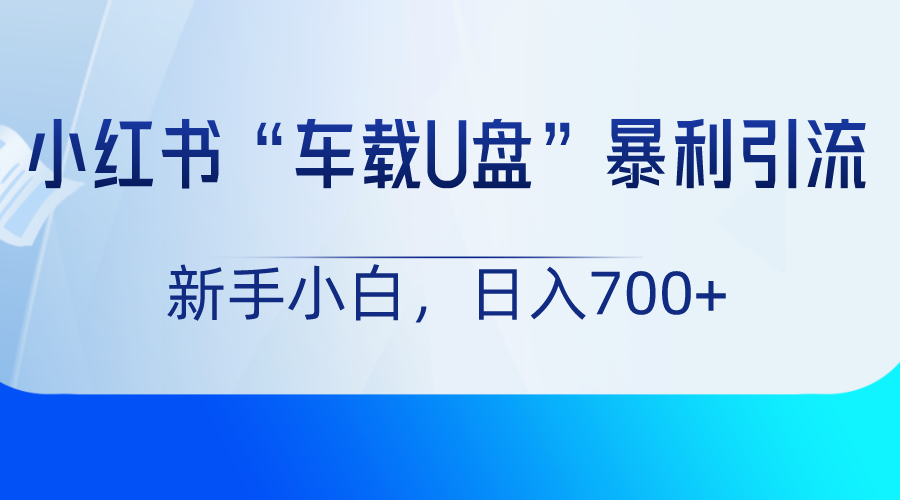 小红书“车载U盘”项目，暴利引流，新手小白轻松日入700+-满月文化项目库