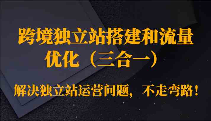 跨境独立站搭建和流量优化（三合一）解决独立站运营问题，不走弯路！-满月文化项目库