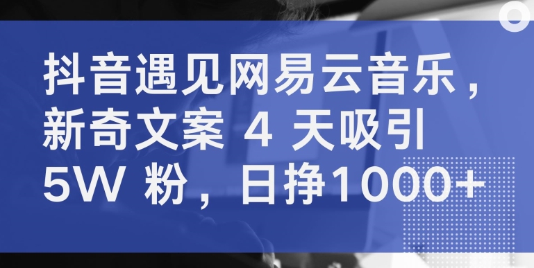 抖音遇见网易云音乐，新奇文案 4 天吸引 5W 粉，日挣1000+-满月文化项目库