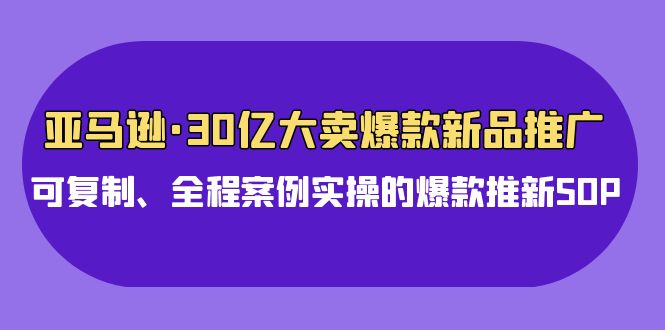 亚马逊30亿大卖爆款新品推广，可复制、全程案例实操的爆款推新SOP-满月文化项目库