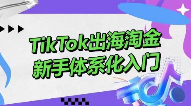 TikTok出海淘金，新手体系化入门，零基础快速入门，掌握短视频、直播带货等引流到变现的知识-满月文化项目库