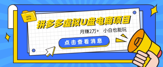 拼多多虚拟U盘电商红利项目：月赚2万+，新手小白也能玩-满月文化项目库