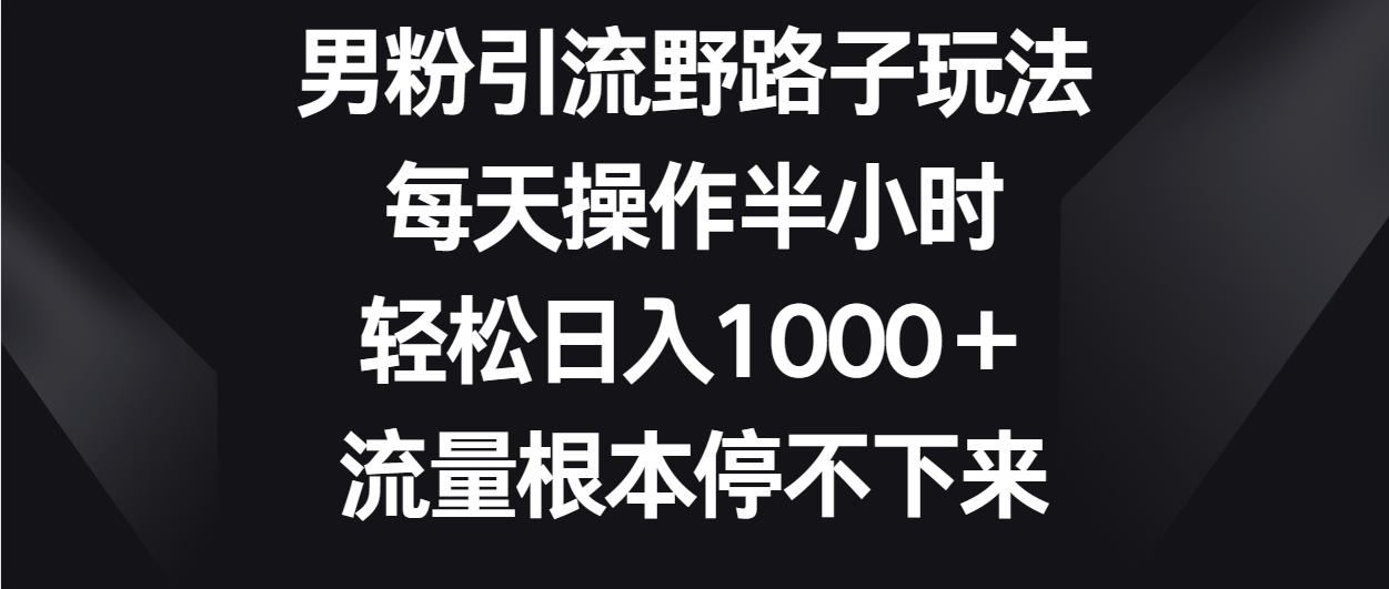 男粉引流野路子玩法，每天操作半小时轻松日入1000＋，流量根本停不下来-满月文化项目库