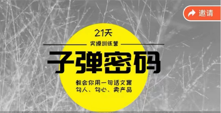 《子弹密码训练营》用一句话文案勾人勾心卖产品，21天学到顶尖文案大师策略和技巧-满月文化项目库