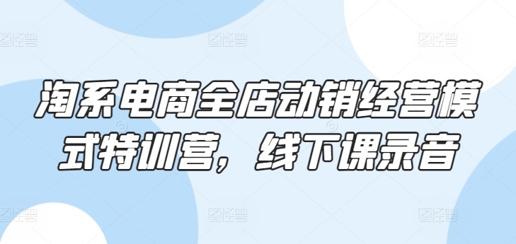 淘系电商全店动销经营模式特训营，线下课录音-满月文化项目库