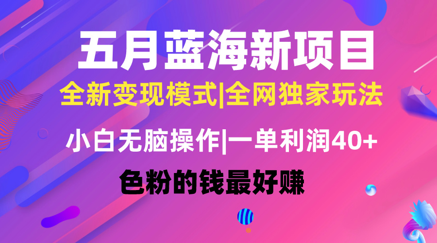 五月蓝海项目全新玩法，小白无脑操作，一天几分钟，矩阵操作，月入4万+-满月文化项目库