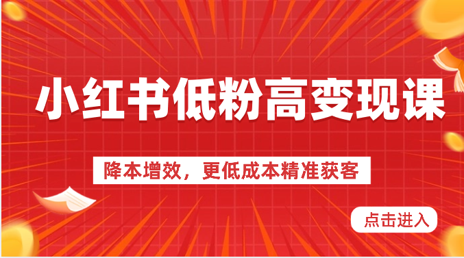 小红书低粉高变现课-降本增效，更低成本精准获客，小红书必爆的流量密码-满月文化项目库