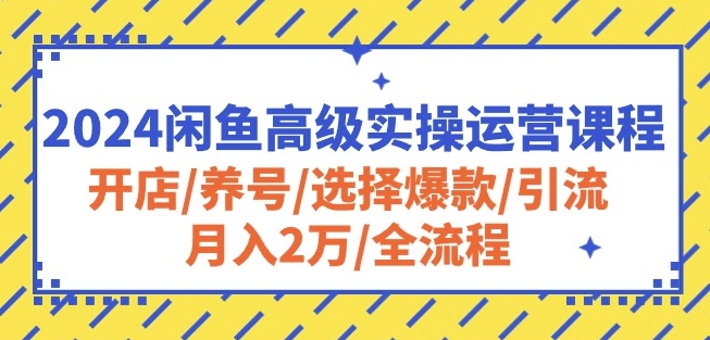 2024闲鱼高级实操运营课程：开店/养号/选择爆款/引流/月入2万/全流程-满月文化项目库