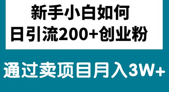 新手小白日引流200+创业粉,通过卖项目月入3W+-满月文化项目库