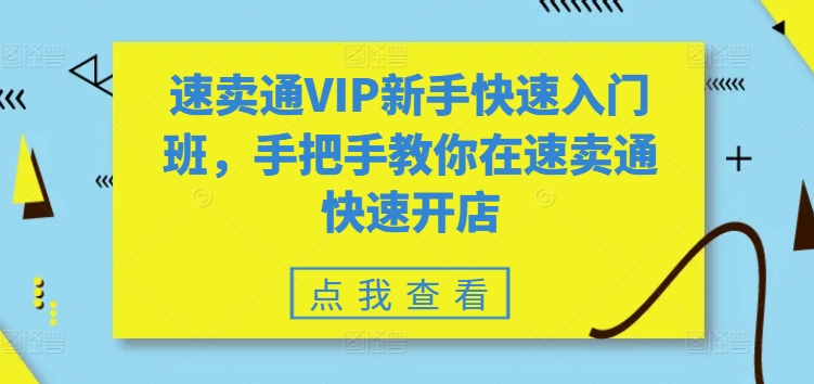 速卖通VIP新手快速入门班，手把手教你在速卖通快速开店-满月文化项目库