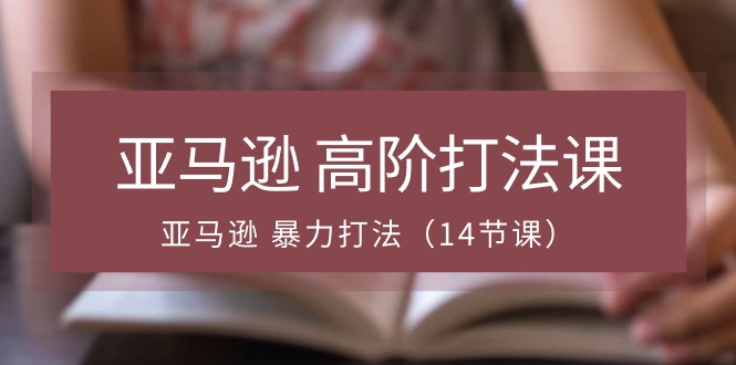 亚马逊 高阶打法课，亚马逊 暴力打法（14节课）-满月文化项目库