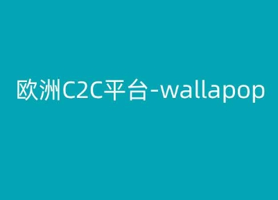 欧洲C2C平台-wallapop-kim跨境电商教程-满月文化项目库