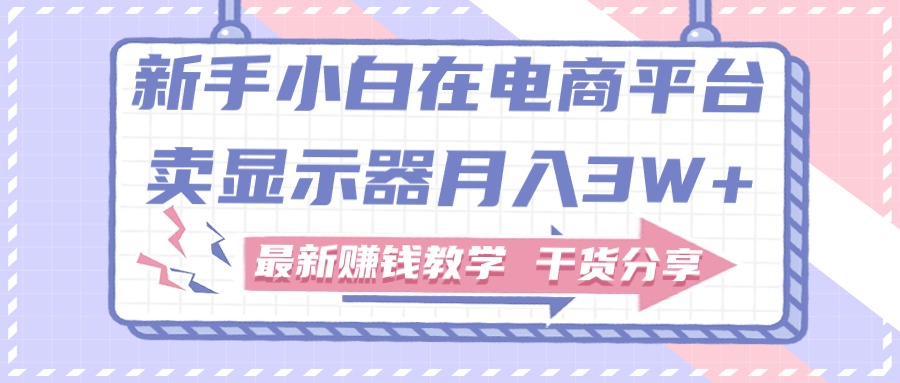 新手小白如何做到在电商平台卖显示器月入3W+，最新赚钱教学干货分享-满月文化项目库