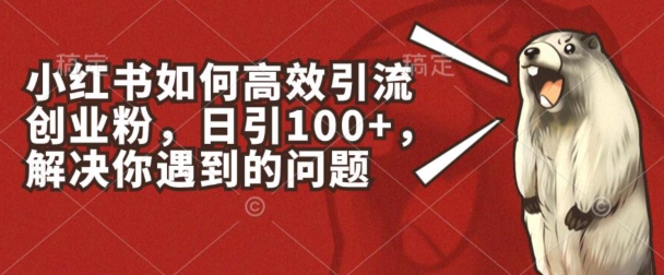 小红书如何高效引流创业粉，日引100+，解决你遇到的问题-满月文化项目库