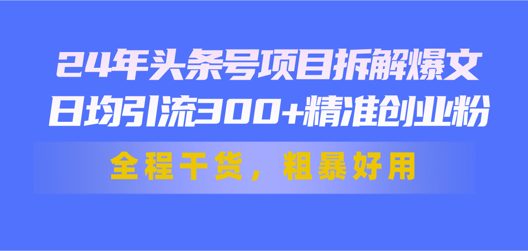 24年头条号项目拆解爆文，日均引流300+精准创业粉，全程干货，粗暴好用-满月文化项目库