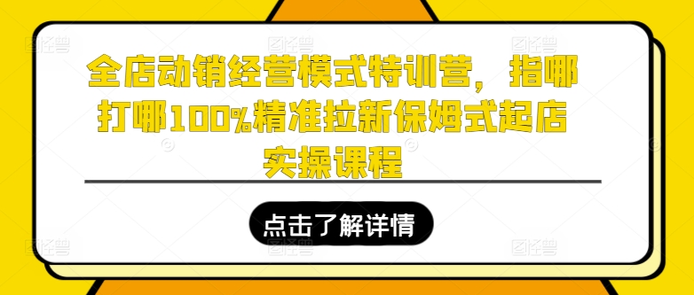 全店动销经营模式特训营，指哪打哪100%精准拉新保姆式起店实操课程-满月文化项目库