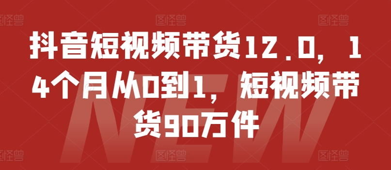 抖音短视频带货12.0，14个月从0到1，短视频带货90万件-满月文化项目库