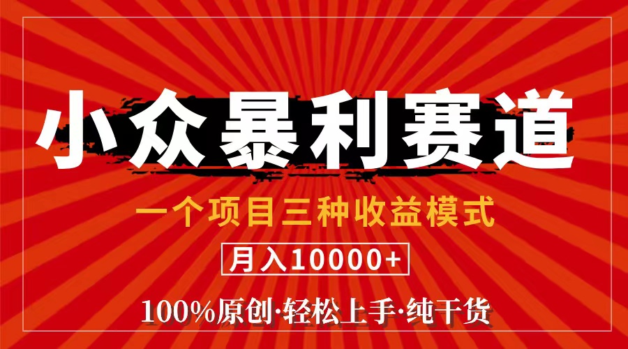 视频号【中老年粉深信不疑】小众赛道 100%原创 手把手教学 新号3天收益…-满月文化项目库