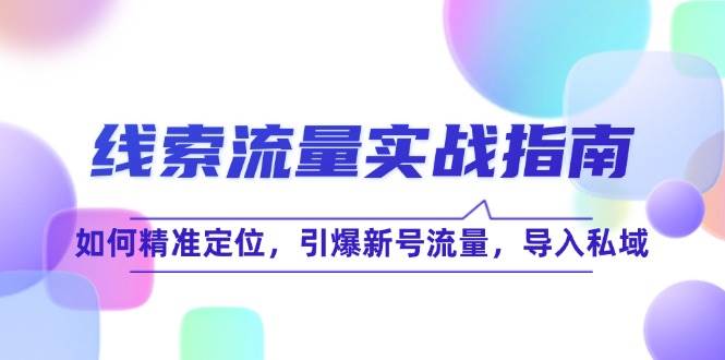 线 索 流 量-实战指南：如何精准定位，引爆新号流量，导入私域-满月文化项目库