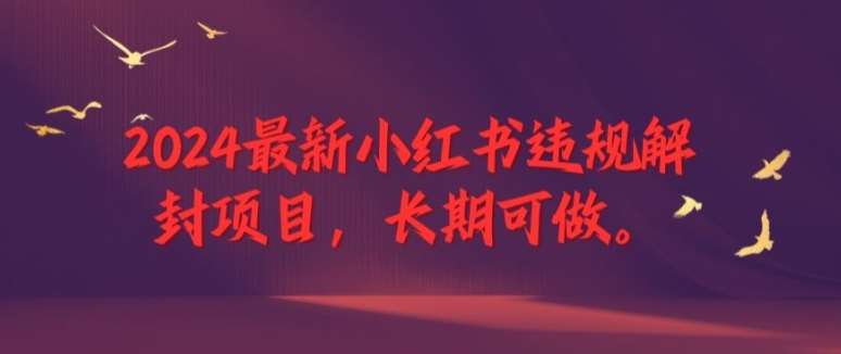 2024最新小红书违规解封项目，长期可做，一个可以做到退休的项目【揭秘】-满月文化项目库