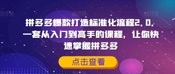 拼多多爆款打造标准化流程2.0，一套从入门到高手的课程，让你快速掌握拼多多-满月文化项目库