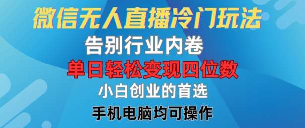 微信无人直播冷门玩法，告别行业内卷，单日轻松变现四位数，小白的创业首选【揭秘】-满月文化项目库