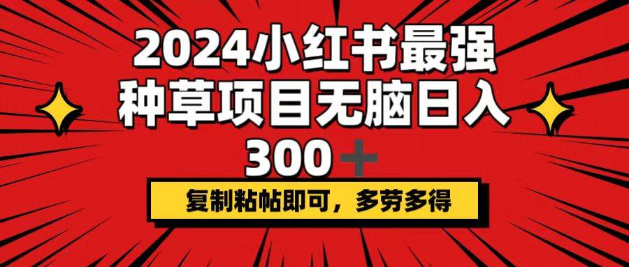 2024小红书最强种草项目，无脑日入300+，复制粘帖即可，多劳多得-满月文化项目库