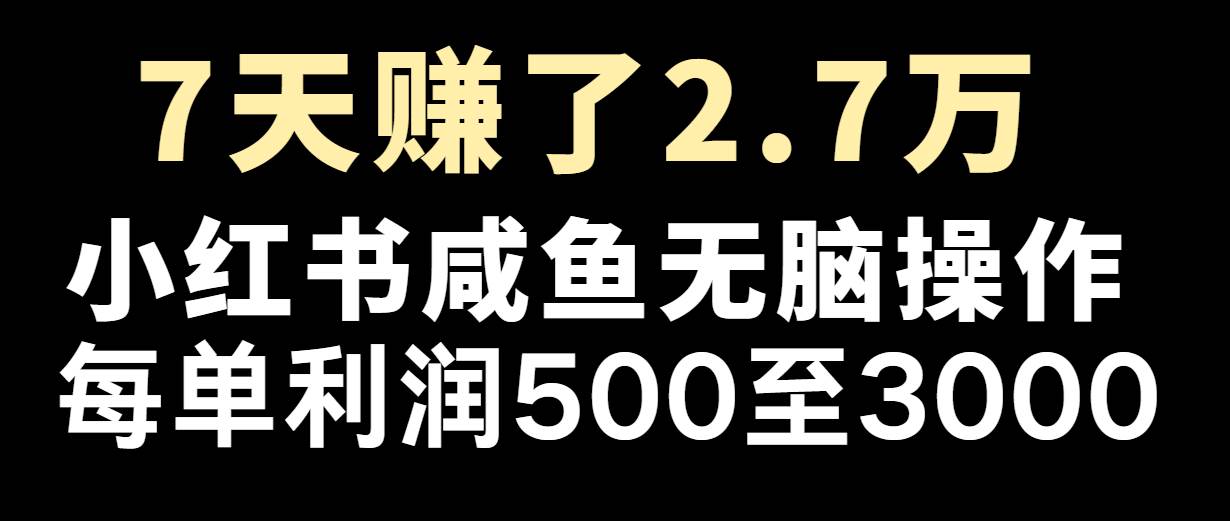 七天赚了2.7万！每单利润最少500+，轻松月入5万+小白有手就行-满月文化项目库