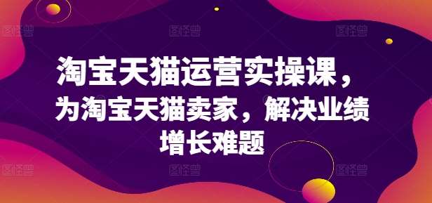 淘宝天猫运营实操课，为淘宝天猫卖家，解决业绩增长难题-满月文化项目库