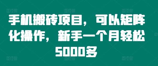 手机搬砖项目，可以矩阵化操作，新手一个月轻松5000多-满月文化项目库