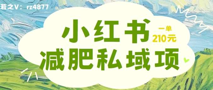 小红书减肥粉，私域变现项目，一单就达210元，小白也能轻松上手【揭秘】-满月文化项目库