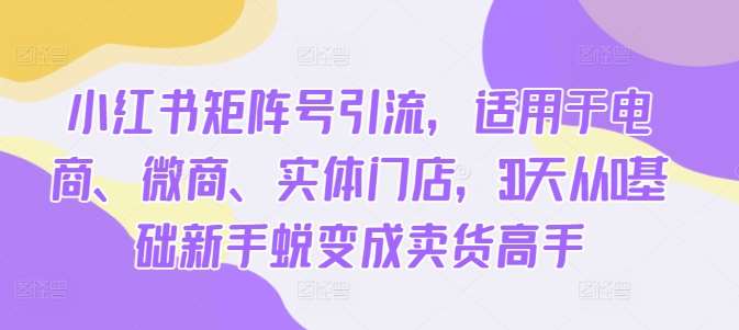 小红书矩阵号引流，适用于电商、微商、实体门店，30天从0基础新手蜕变成卖货高手-满月文化项目库